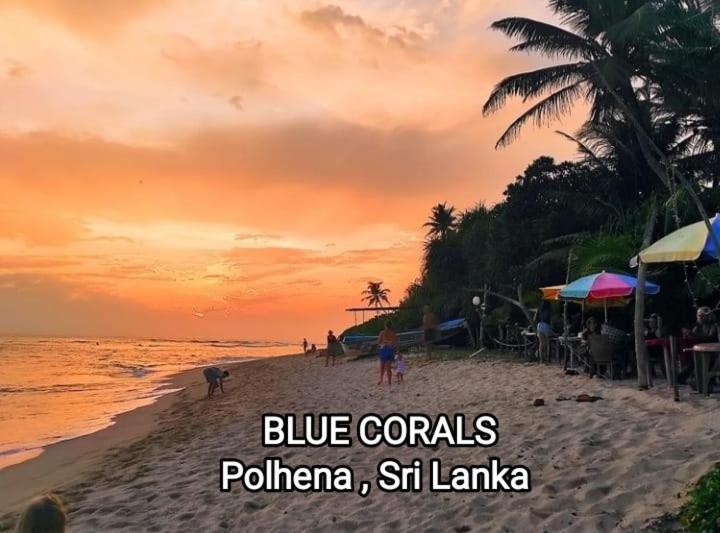 Blue Corals Beach Bungalow Matara Exterior foto