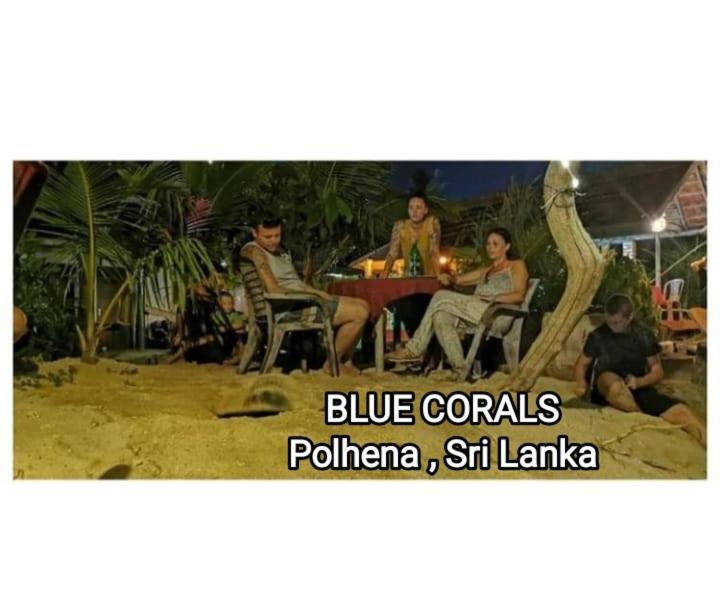 Blue Corals Beach Bungalow Matara Exterior foto