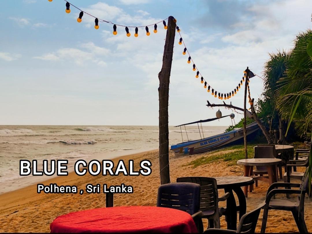 Blue Corals Beach Bungalow Matara Exterior foto