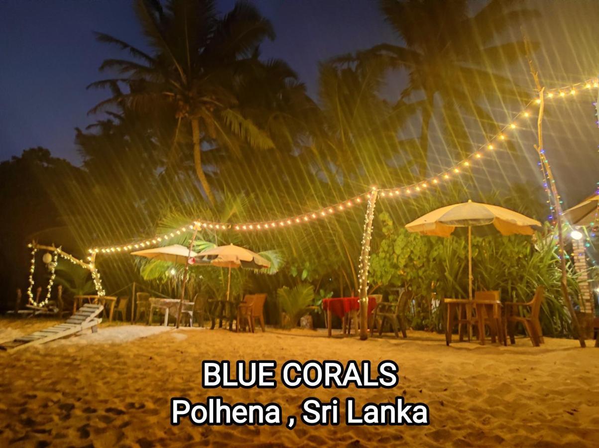 Blue Corals Beach Bungalow Matara Exterior foto