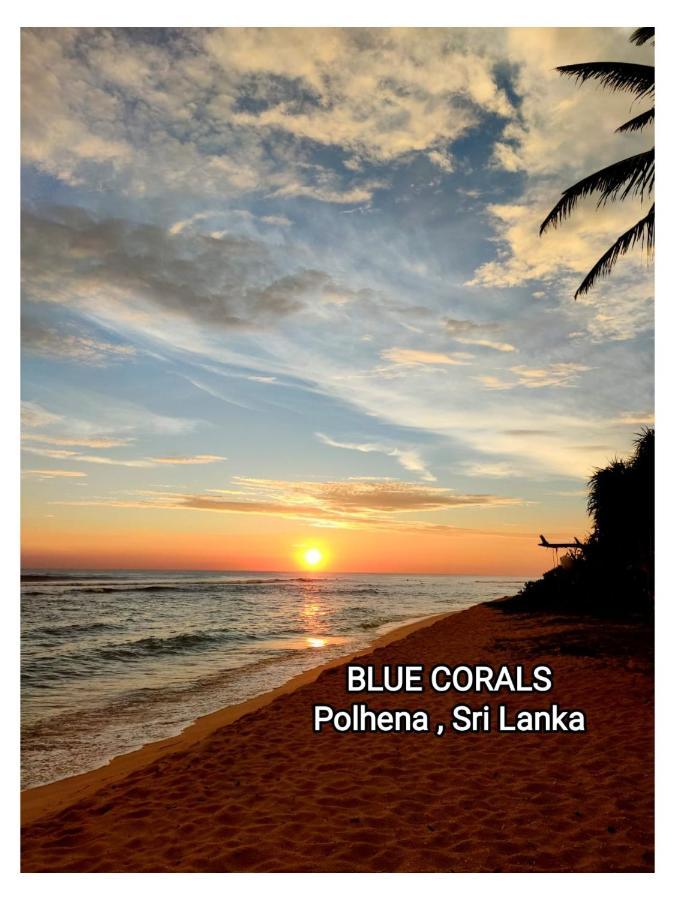 Blue Corals Beach Bungalow Matara Exterior foto