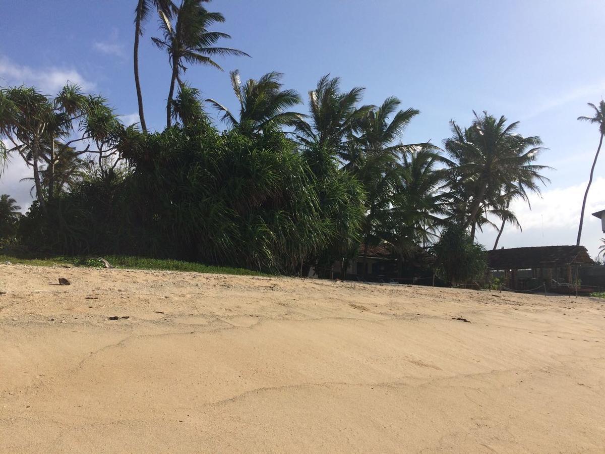 Blue Corals Beach Bungalow Matara Exterior foto